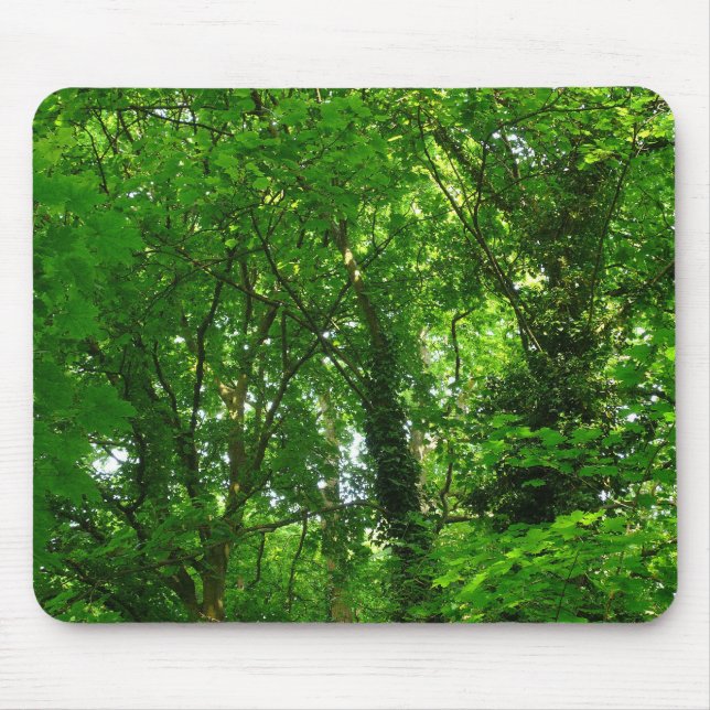 Up in the Trees Mouse Pad (Front)