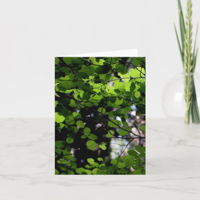 Up in the Trees Note Card (Front)