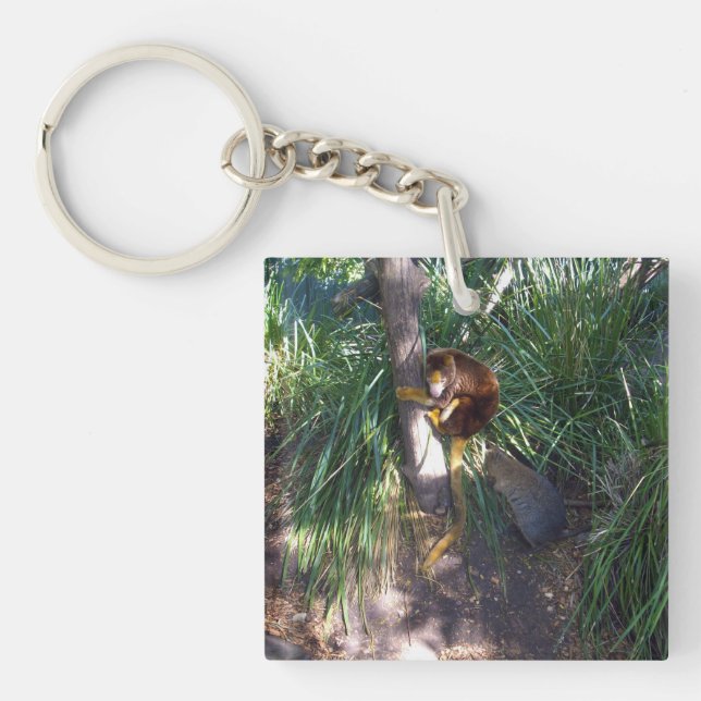 "Up in Trees: An Australian Tree Kangaroo Climbs Keychain (Front)
