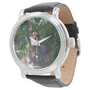 "Up in Trees: An Australian Tree Kangaroo Climbs Watch