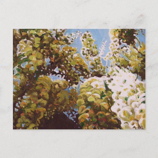 Up into wisteria 2011 postcard (Front)