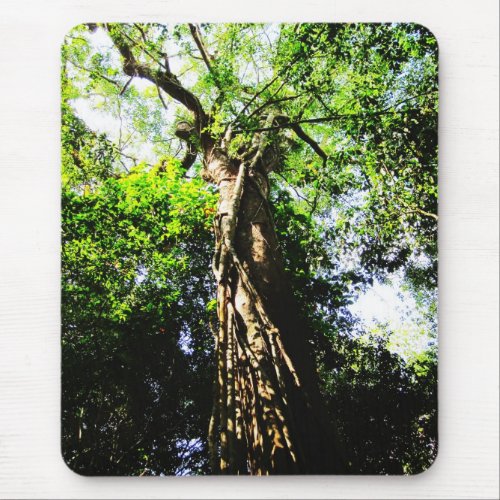 Up The Tree _ Mousepad