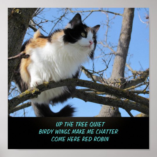 Up the Tree Quiet Cat Meme Haiku Poster