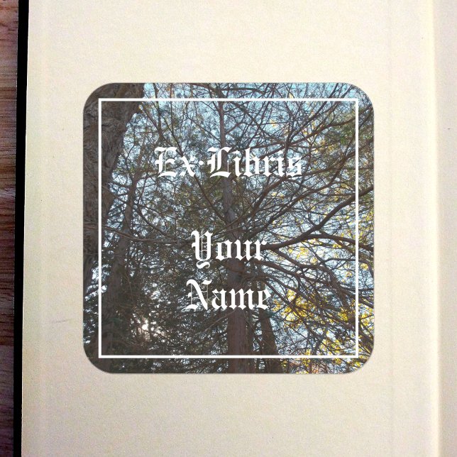 Up Through the Branches Bookplate (Up Through the Branches Bookplate in Old Book)