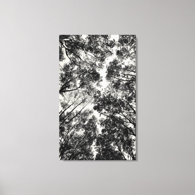 Up Through The Trees, 2018 | SVP Images Canvas Print (Front)