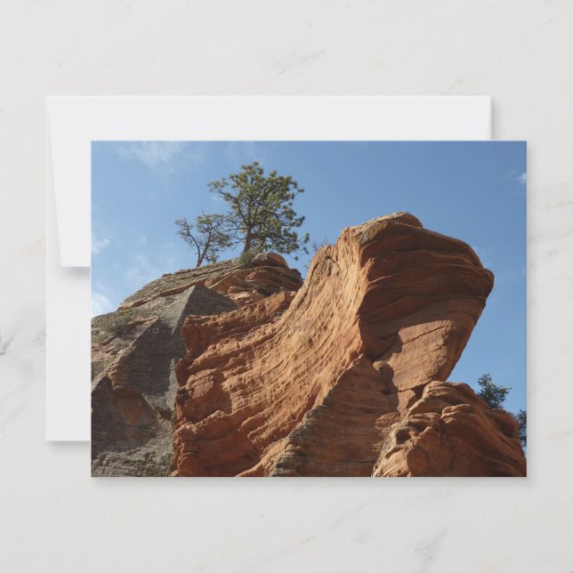 Up to Angels Landing in Zion National Park (Front)