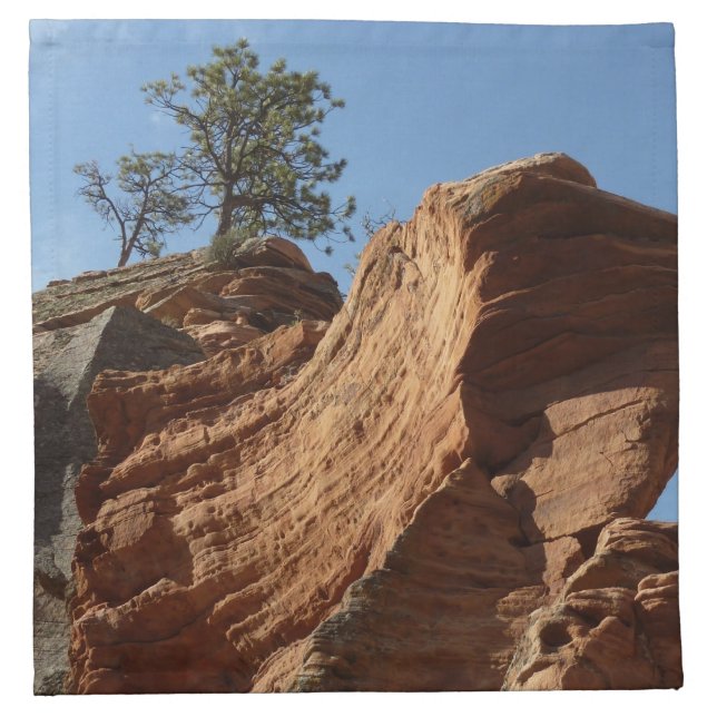 Up to Angels Landing in Zion National Park Cloth Napkin (Front)