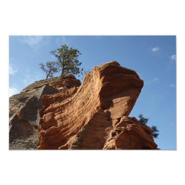 Up to Angels Landing in Zion National Park Photo Print (Front)