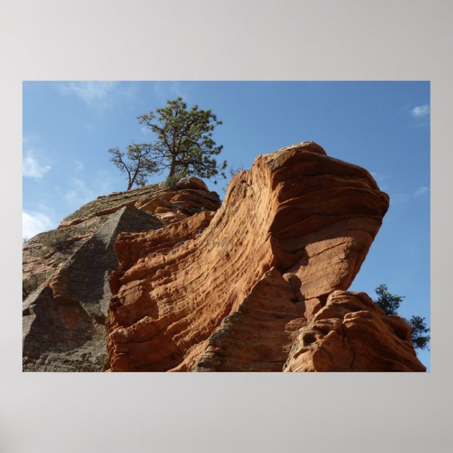 Up to Angels Landing in Zion National Park Poster (Front)