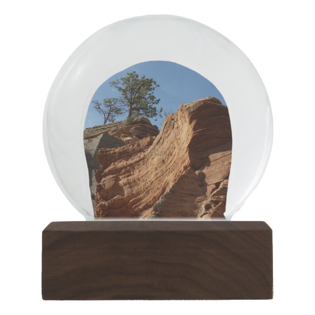 Up to Angels Landing in Zion National Park Snow Globe (Front)