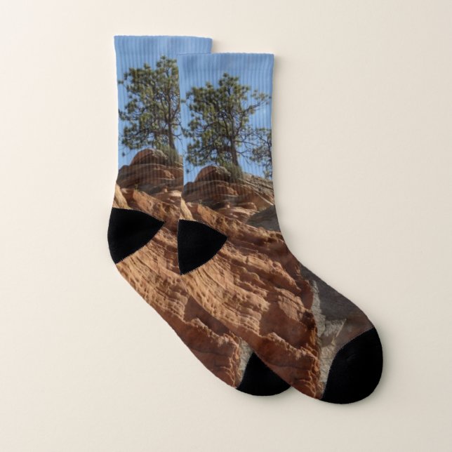 Up to Angels Landing in Zion National Park Socks (Pair)