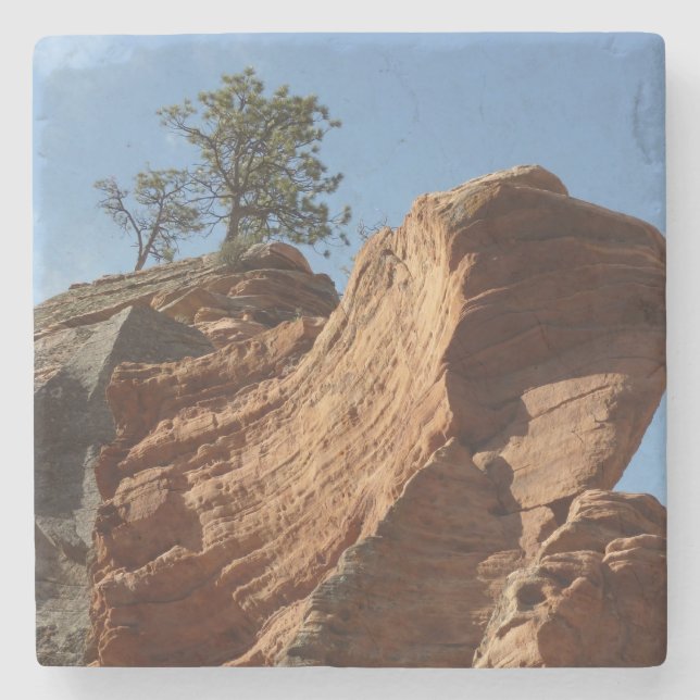 Up to Angels Landing in Zion National Park Stone Coaster (Front)
