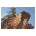 Up to Angels Landing in Zion National Park Tissue Paper