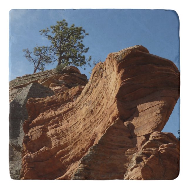 Up to Angels Landing in Zion National Park Trivet (Front)