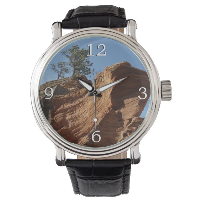 Up to Angels Landing in Zion National Park Watch (Front)