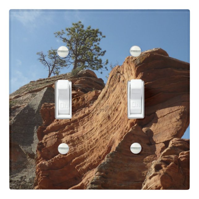 Up to Angels Landing Light Switch Cover (In Situ)