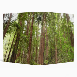 Up to Redwoods I at Muir Woods National Monument 3 Ring Binder