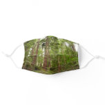 Up to Redwoods I at Muir Woods National Monument Adult Cloth Face Mask