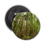 Up to Redwoods I at Muir Woods National Monument Bottle Opener