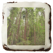 Up to Redwoods I at Muir Woods National Monument Brownie (Front)