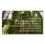 Up to Redwoods I at Muir Woods National Monument Business Card Magnet