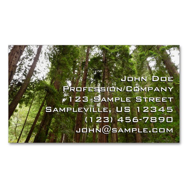 Up to Redwoods I at Muir Woods National Monument Business Card Magnet (Front)
