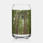 Up to Redwoods I at Muir Woods National Monument Can Glass