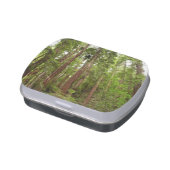 Up to Redwoods I at Muir Woods National Monument Candy Tin (Side)