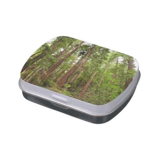 Up to Redwoods I at Muir Woods National Monument Candy Tin (Side)