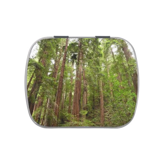 Up to Redwoods I at Muir Woods National Monument Candy Tin (Top)