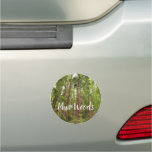 Up to Redwoods I at Muir Woods National Monument Car Magnet