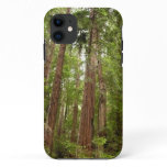 Up to Redwoods I at Muir Woods National Monument iPhone 11 Case