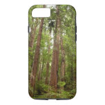 Up to Redwoods I at Muir Woods National Monument iPhone 8/7 Case