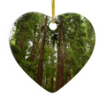 Up to Redwoods I at Muir Woods National Monument Ceramic Ornament