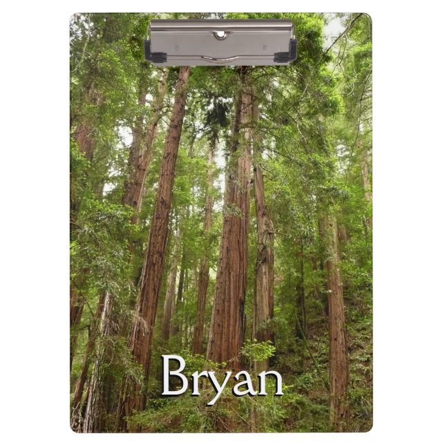 Up to Redwoods I at Muir Woods National Monument Clipboard (Front)