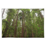 Up to Redwoods I at Muir Woods National Monument Cloth Placemat