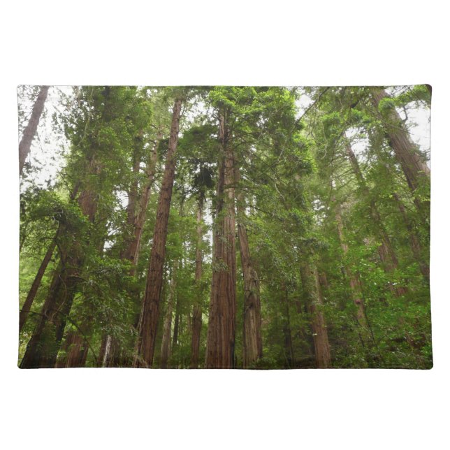 Up to Redwoods I at Muir Woods National Monument Cloth Placemat (Front)