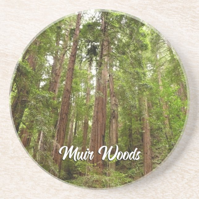 Up to Redwoods I at Muir Woods National Monument Coaster (Front)