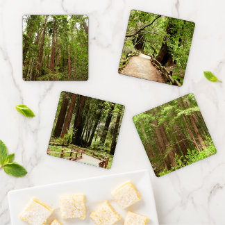 Up to Redwoods I at Muir Woods National Monument Coaster Set