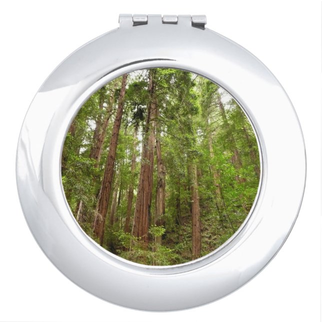 Up to Redwoods I at Muir Woods National Monument Compact Mirror (Front)