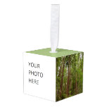 Up to Redwoods I at Muir Woods National Monument Cube Ornament