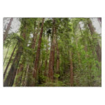Up to Redwoods I at Muir Woods National Monument Cutting Board