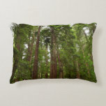 Up to Redwoods I at Muir Woods National Monument Decorative Pillow