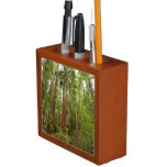 Up to Redwoods I at Muir Woods National Monument Desk Organizer