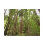 Up to Redwoods I at Muir Woods National Monument Doormat