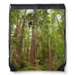 Up to Redwoods I at Muir Woods National Monument Drawstring Bag