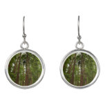 Up to Redwoods I at Muir Woods National Monument Earrings