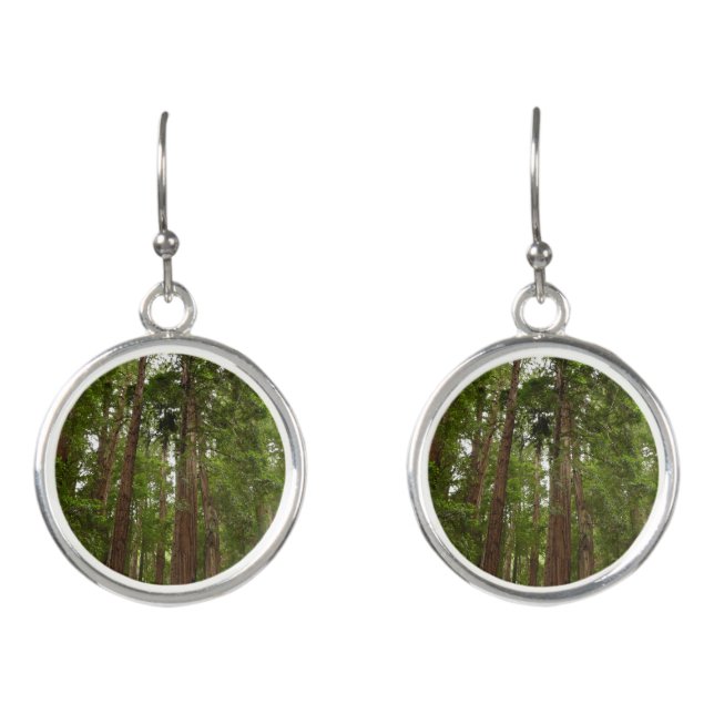 Up to Redwoods I at Muir Woods National Monument Earrings (Front)