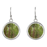 Up to Redwoods I at Muir Woods National Monument Earrings