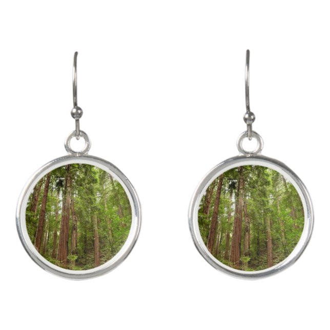 Up to Redwoods I at Muir Woods National Monument Earrings (Front)